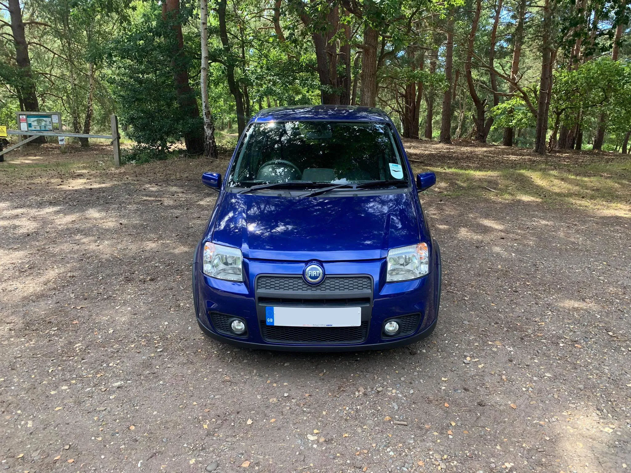 A blue car parked in the middle of a forest.